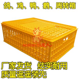 鸡鸭鹅周转箱成鸡箱塑料鸡笼鸽子O放飞笼大鸡运输笼