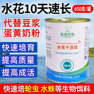 水花十日壮鱼苗虾蟹苗开q口饵料育苗期培育轮虫微生物水产养殖专
