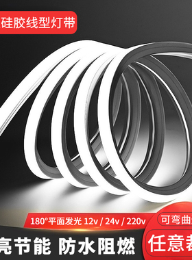 硅胶灯带led灯条2m20V客厅家用24v嵌入式吊顶户外防水柔性线形灯