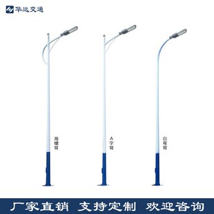 户外6米led路灯杆直杆220V市电路灯定I做市政道路路灯球场灯高杆