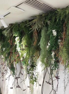 安绿植挂垂吊壁藤条绿色植物吊兰波斯蕨类墙壁管道吊顶再塔名