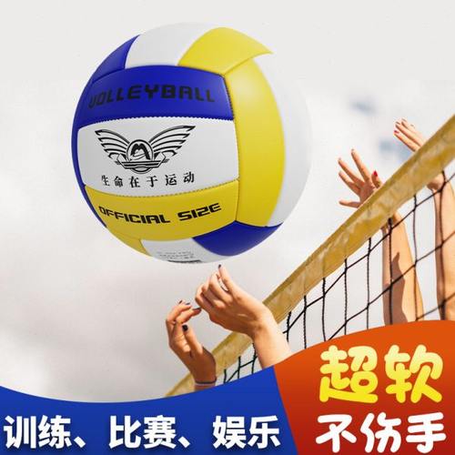 初中生排球中考学生专用球5号小学生少年男女软式气比赛训练
