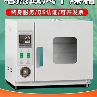 电热恒温鼓风干燥箱高温加热小型工业烤箱医用烘干机实验室烘箱