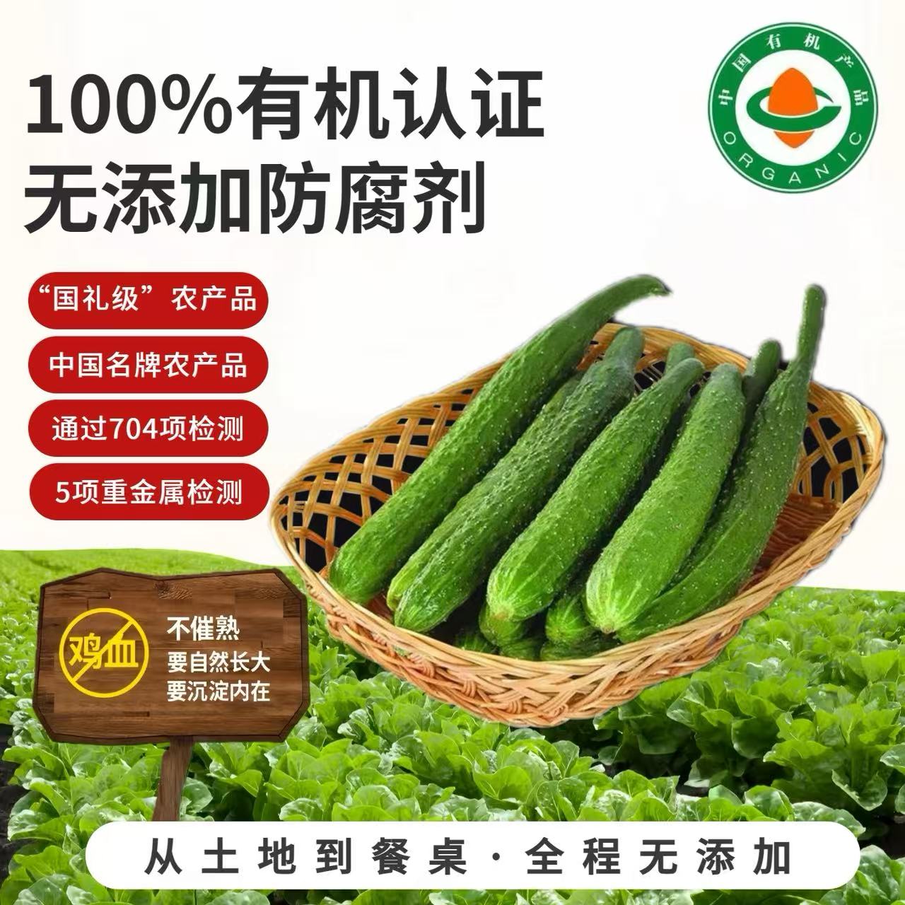 有机认证刺黄瓜新鲜现摘密刺青瓜脆嫩无农残儿时原味生鲜控卡代餐