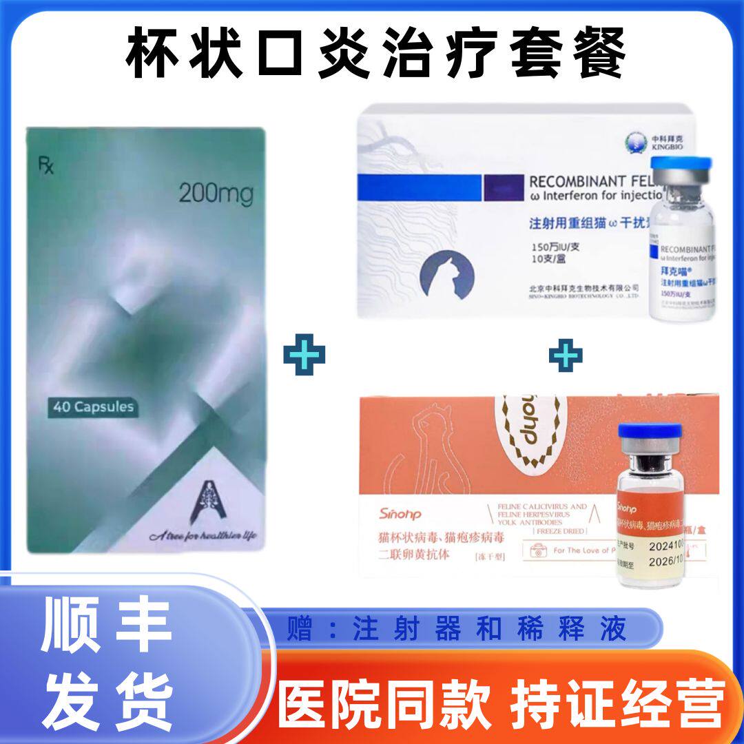 猫口炎杯状鼻支疱疹口服牙龈红肿猫干扰素黄鼻涕流口水二 联抗体