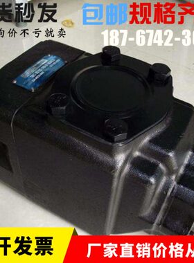 丹尼逊T6ED-045-014-1R00-C100发泡机油泵T6ED-045-050-1R00-C100