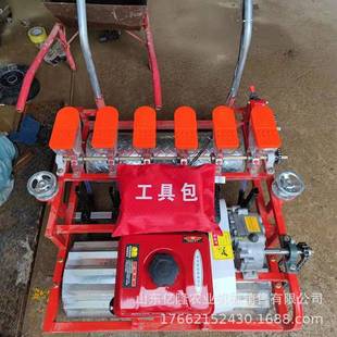 大葱洋葱育播种yl-bzj机汽菜油自走式苗蔬菜播种机大头芹菜点播机