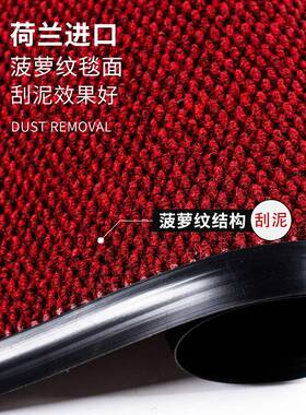 y脚入户F76MS5HT门地毯家用进门脚踏t垫门口进户门x防尘地垫门垫