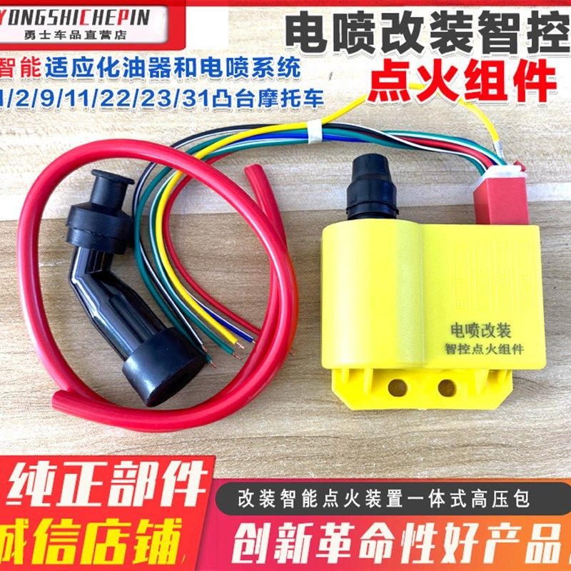 摩托车电喷改装点火器 电喷系统 化油器智能点火装置一体式高压包