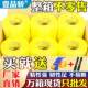 透明胶带打包胶布米黄白透明包装 胶带加厚加宽6cm快递警示语胶带