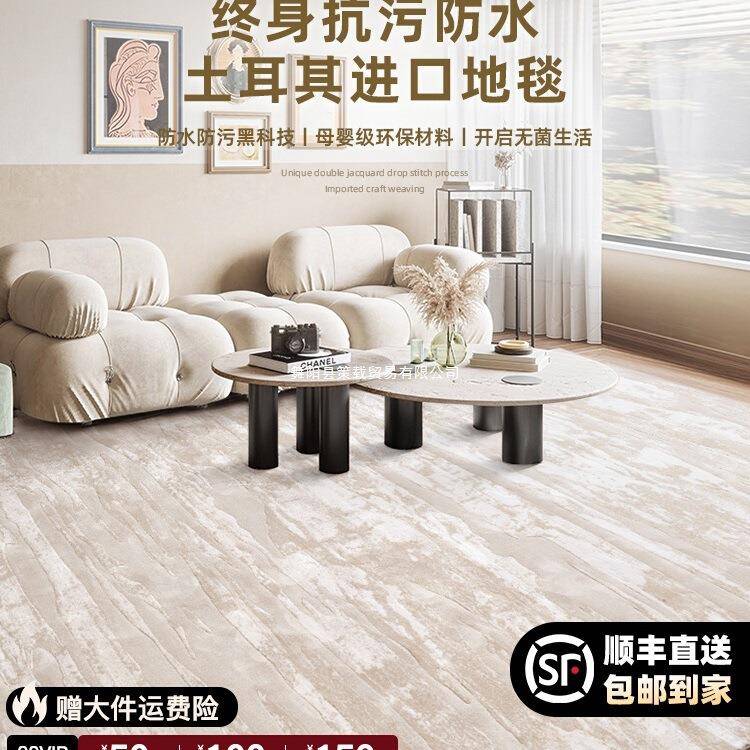 土耳其进口客厅地毯防水防污除醛无胶意式轻奢简约卧室毯