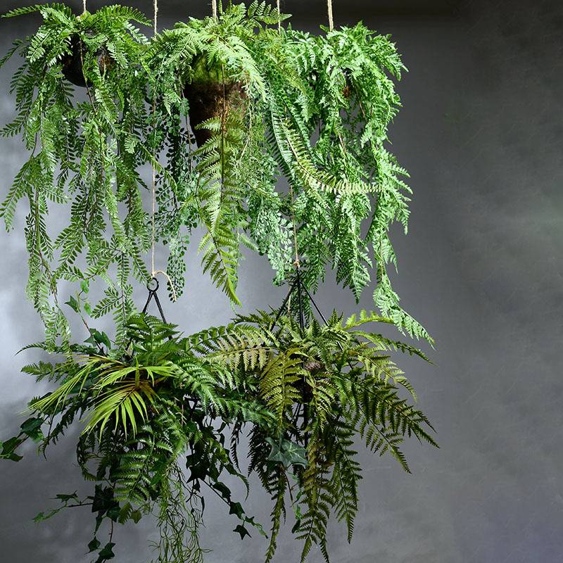 仿真绿植酒吧吊顶植物厥叶壁挂波斯厥苔藓草皮餐厅装饰花材多肉