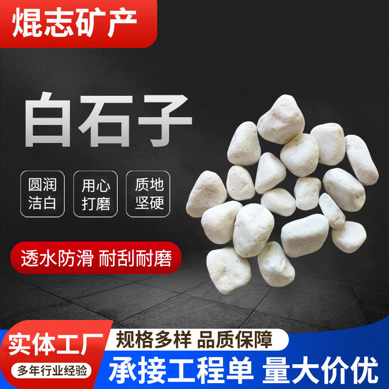 白色石子园林铺路庭院装饰白色垫脚石园林造景辅路盆栽铺面白石子