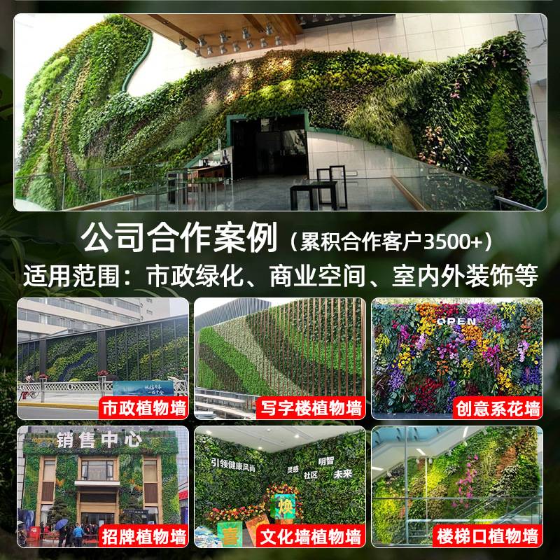 绿植墙仿真植物墙阳台塑料室内装饰背景户外绿化人造墙仿生假草坪