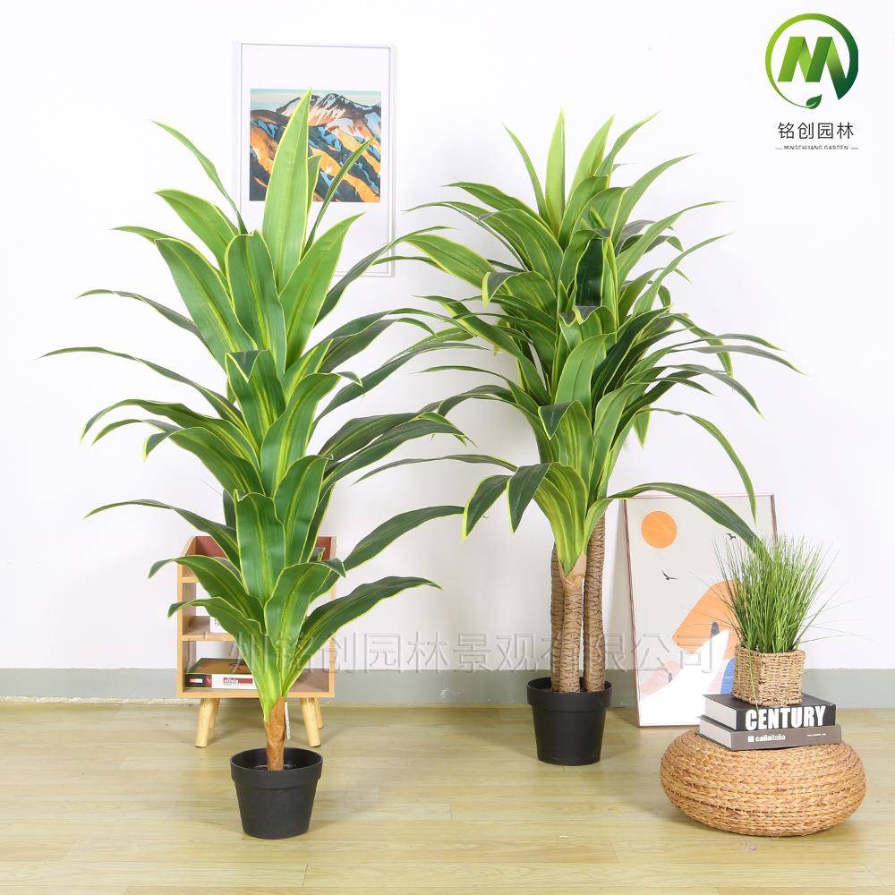 大型落地仿真绿植红铁树巴西木盘栽室内摆设仿真植物黄边巴西铁