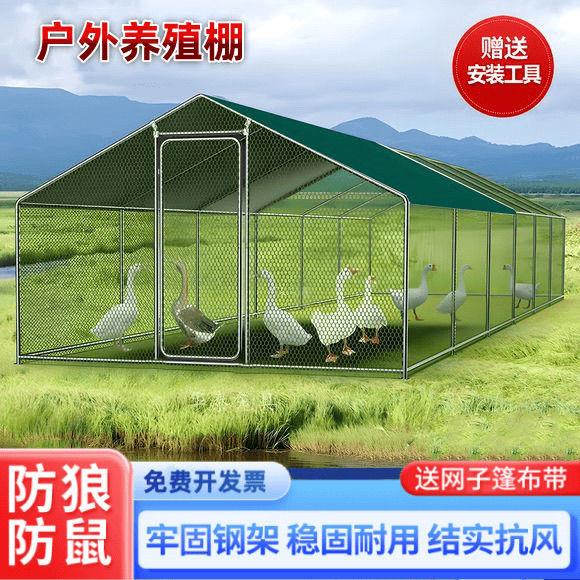 养搭建养殖防雨兔笼家庭户外孔雀家禽鸽笼鸡笼鸡笼特大号大型鸡棚