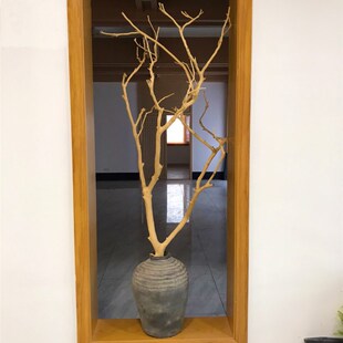 天然树枝树杈带小枝分枝干树枝装饰枯木艺术造景挂灯Y摆件花瓶造