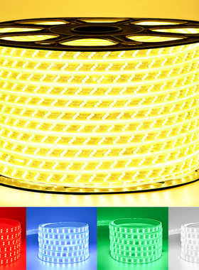 【20米装】 hled灯带七彩客厅吊顶户外防水双排贴片220V长灯条家