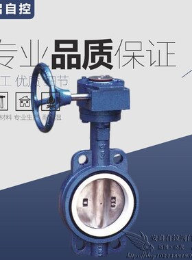 D371F-16Q磨砂手动涡轮四氟对夹式蝶阀DN40 50 65 80 100 125 150