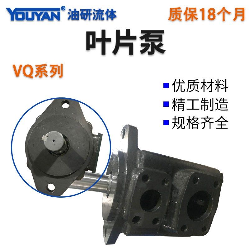 叶片泵20/25/35/45/3520/4520VQ油泵10A12A14A15A19A21A30A32A38A