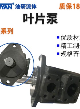 叶片泵20/25/35/45/3520/4520VQ油泵10A12A14A15A19A21A30A32A38A