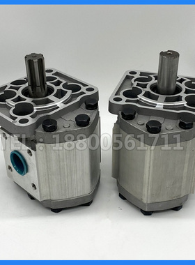 CBN-G520 G525 G532 G540 G550 G563 G580-BFPR BFHL液压齿轮泵