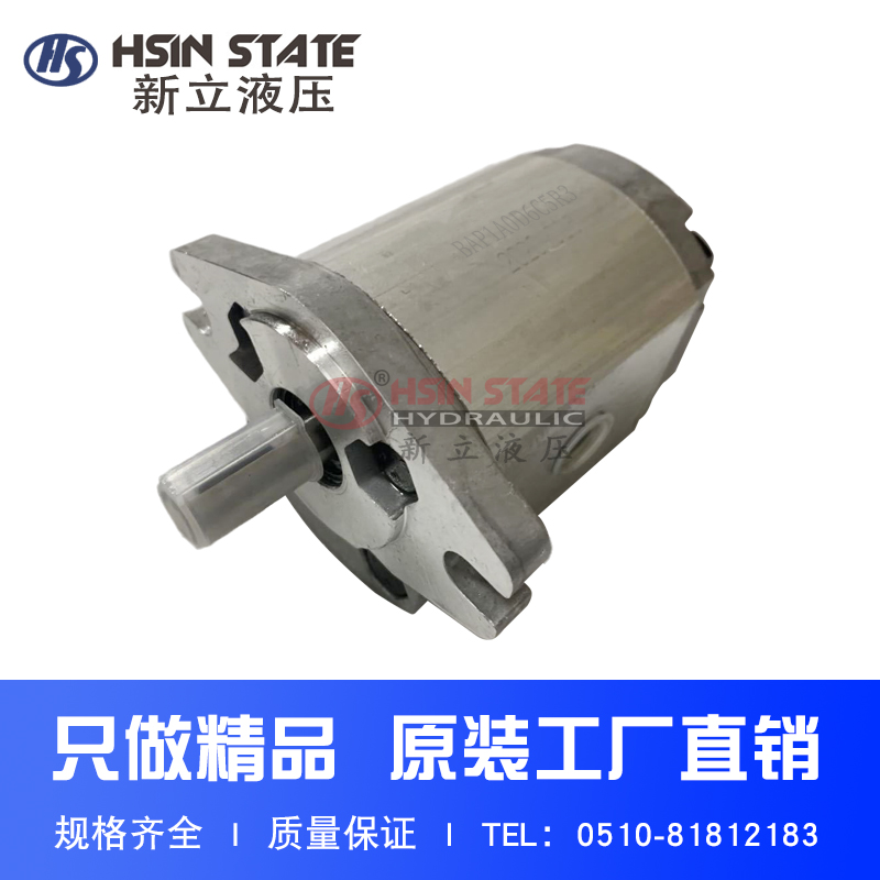 齿轮泵BAP1A0D2.1C5R0/D1.4/D2.8/D5.2/D6.2/D7.6/D9.3/D13.8C5R0