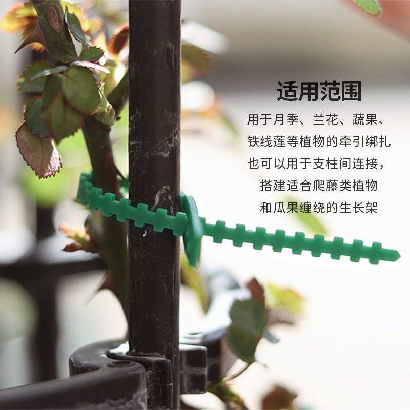 可调节鱼骨扎带捆绑线多用途园林绑树藤蔓植物固定园艺可拆卸扎线,搬运/仓储/物流设备,其他起重搬运设备,淘宝优惠券,粉丝福利购,淘宝优惠卷