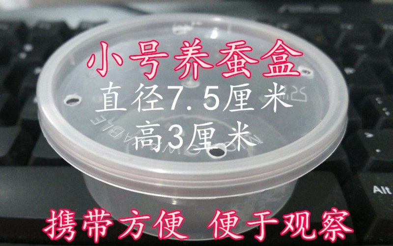 蚕宝宝彩色饲料套装 蚕卵蚕籽喂新鲜桑叶 学生养蚕套餐七彩蚕宝宝