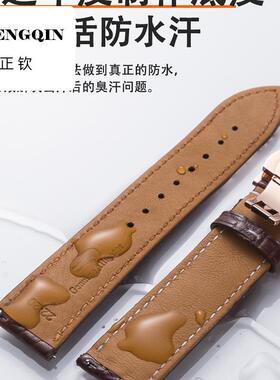 正钦丹灵公主手表带鳄鱼真皮男女士适用卡西欧美度力洛克dw浪琴ck