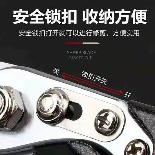 德国精工艺园剪刀剪树枝专用剪刀修枝剪园林果树修花家用sk5剪子