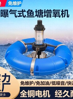德国进口鱼塘曝气增氧机家用220V制氧机三相电涌浪增氧泵养鱼虾养