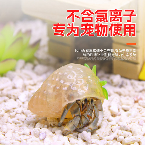 天然鱼缸底砂贝壳砂三湖砂海沙菲律宾沙鱼缸造景装饰慈鲷寄居蟹沙