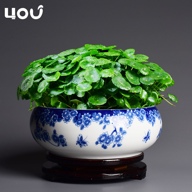 中国风水仙花盆陶瓷创意铜钱草水培家用个性大号水养睡莲圆形花盘