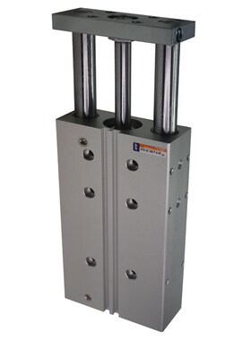 三轴带导杆气缸 DFM-12 16 20 25 32 40 50 63-50 80 100-P-A-KF