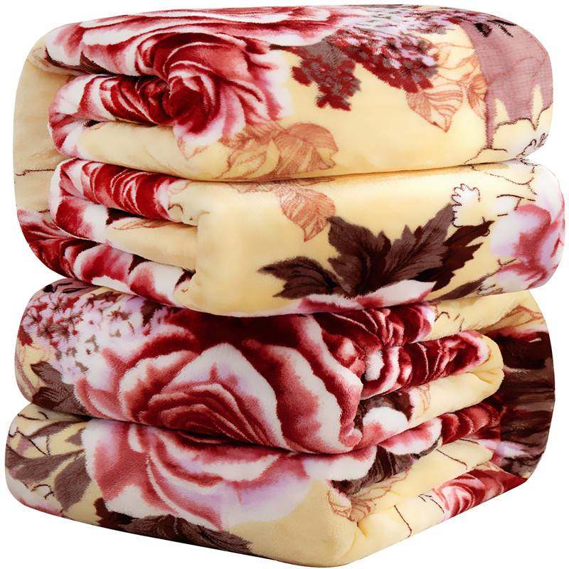 【床单盖毯两用款】法兰绒毛毯四季毯冬季加厚保暖学生宿舍床单双