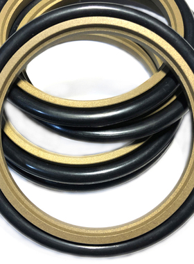 斯特封GSR/STd170*185.5*191/175*190.5/180*195.5 *201*6.3*8.1