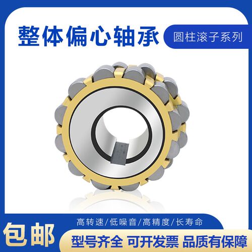 天马减速机偏心轴承RN205 206 307 308 309 312 222 219 328 M