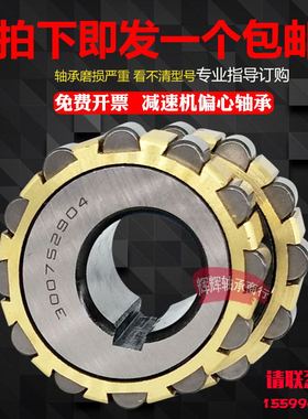 减速机偏心轴承 RN205 RN206 RN307 RN309 204 207 312 219 228 M