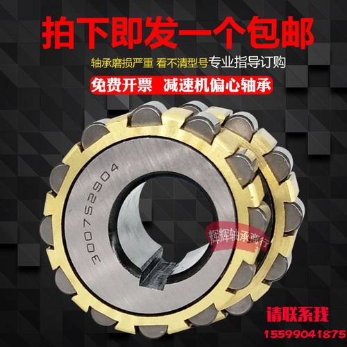 减速机偏心轴承 RN205 RN206 RN307 RN309 204 207 312 219 228 M