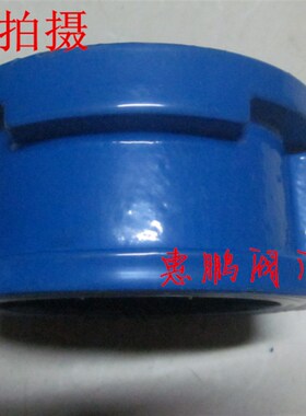 阀门 铸铁对夹式蝶型止回阀/单向阀/逆止阀 DH77X-16 DN40-300
