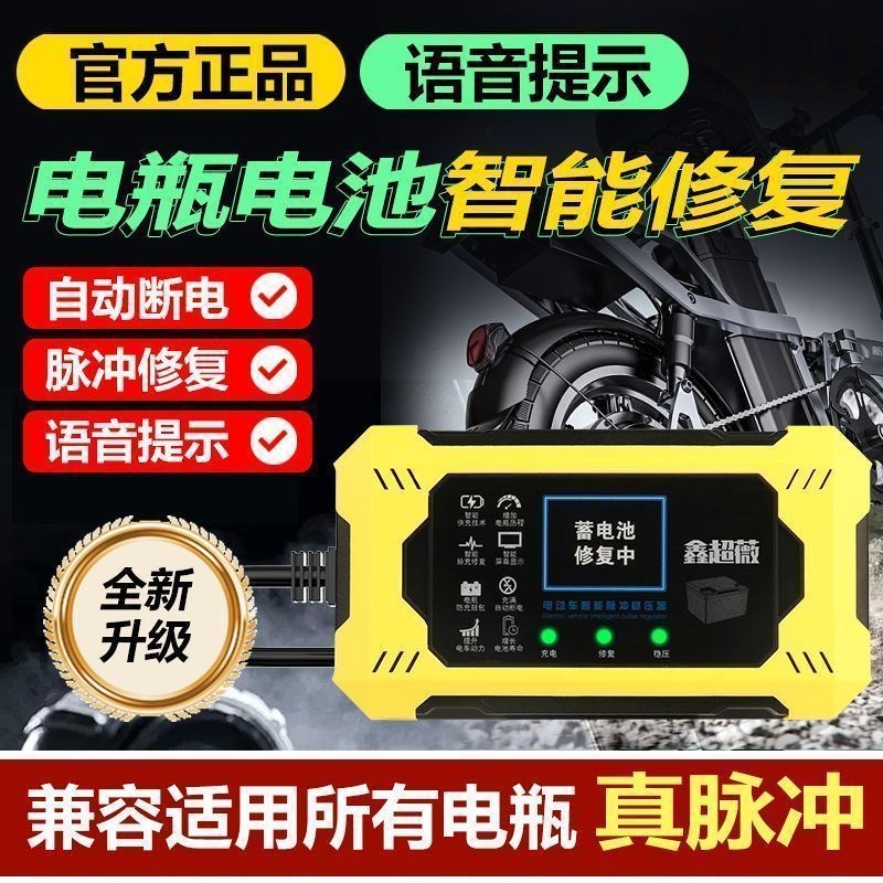 德国进口修覆器续航电动车三轮两轮电瓶电池充电48V60V72V96V智能