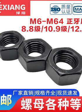 8.8/10.9/12.9级高强度六角螺w帽螺丝帽螺母M6M8M10M12M16m20M100