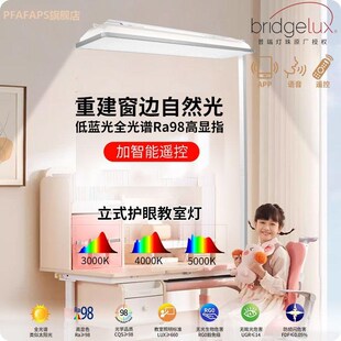 教室灯架子护眼灯普瑞全光谱家用儿童学习阅读R专用落地灯侧装支