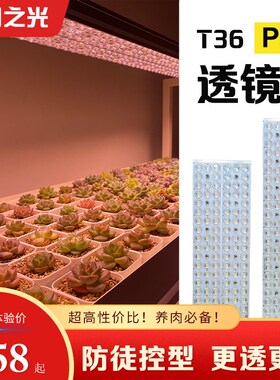 植物之光T36聚光透镜LED全光谱自然光防徒O上色室内家用多肉补光
