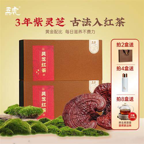 五虎男士养生茶野生灵芝红茶茶叶泡茶泡水熬夜滋补官方正品礼盒装