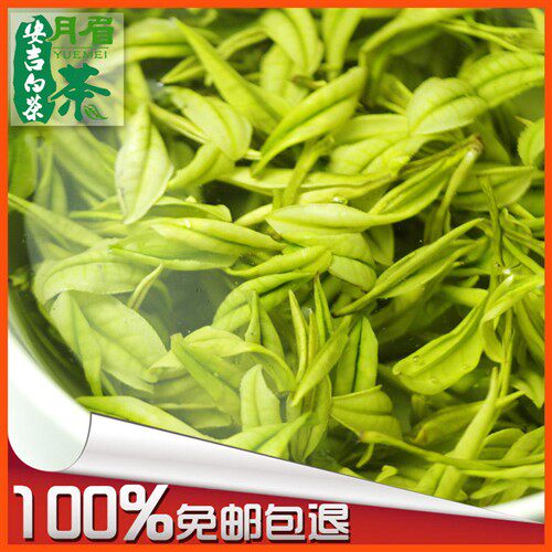 安吉白茶25年新茶上市正宗明前特级A月眉春茶叶绿茶溪龙黄杜产区