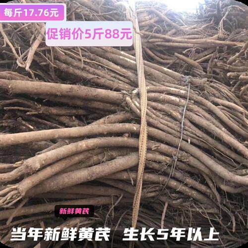 新鲜黄芪现挖特级无硫新鲜当归新鲜党参500克精选包邮量大可