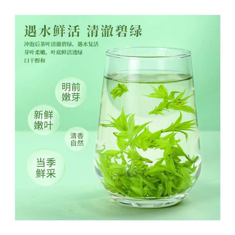陈一凡小叶苦丁茶2025新茶茶叶四川峨眉山正品特5A级头采嫩芽苦丁