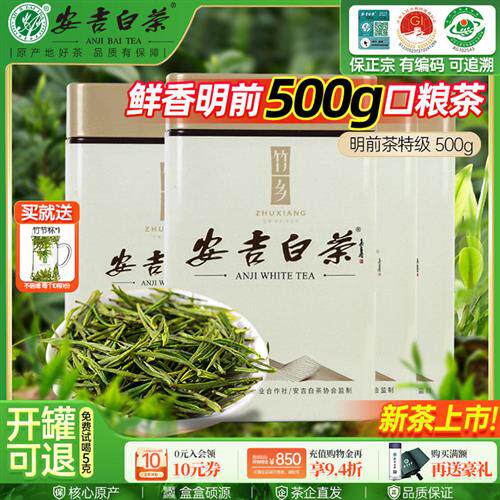 竹乡安吉白茶2025新茶明前特级罐装礼盒官方旗舰店正品口粮茶500g